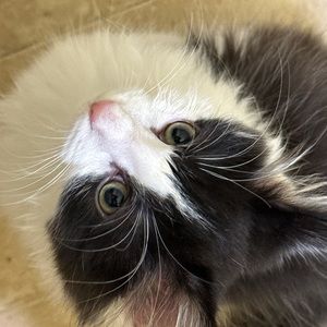 Meet your Posher, Lori